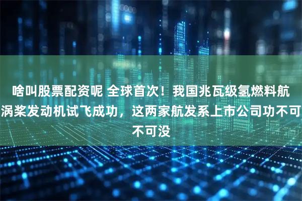 啥叫股票配资呢 全球首次！我国兆瓦级氢燃料航空涡桨发动机试飞成功，这两家航发系上市公司功不可没